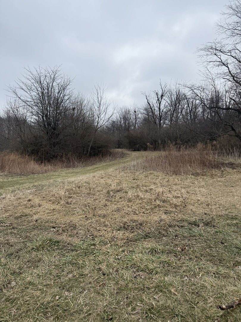 Lots 2, 3 and 4 Burr Oaks Lane, Bloomington, IL 61705