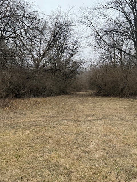 Lots 2, 3 and 4 Burr Oaks Lane, Bloomington, IL 61705