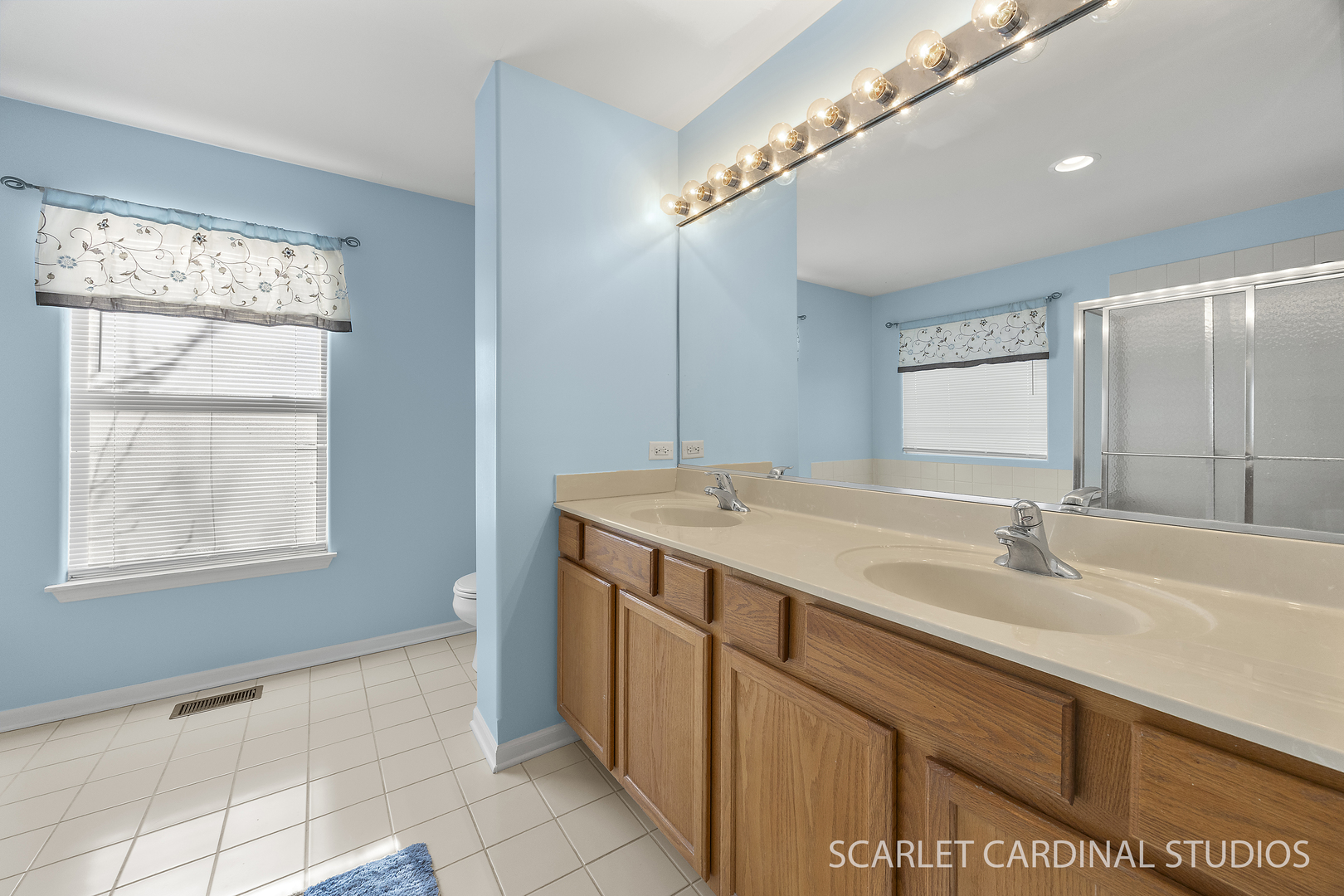 401 Bower Lane, Oswego, IL 60543