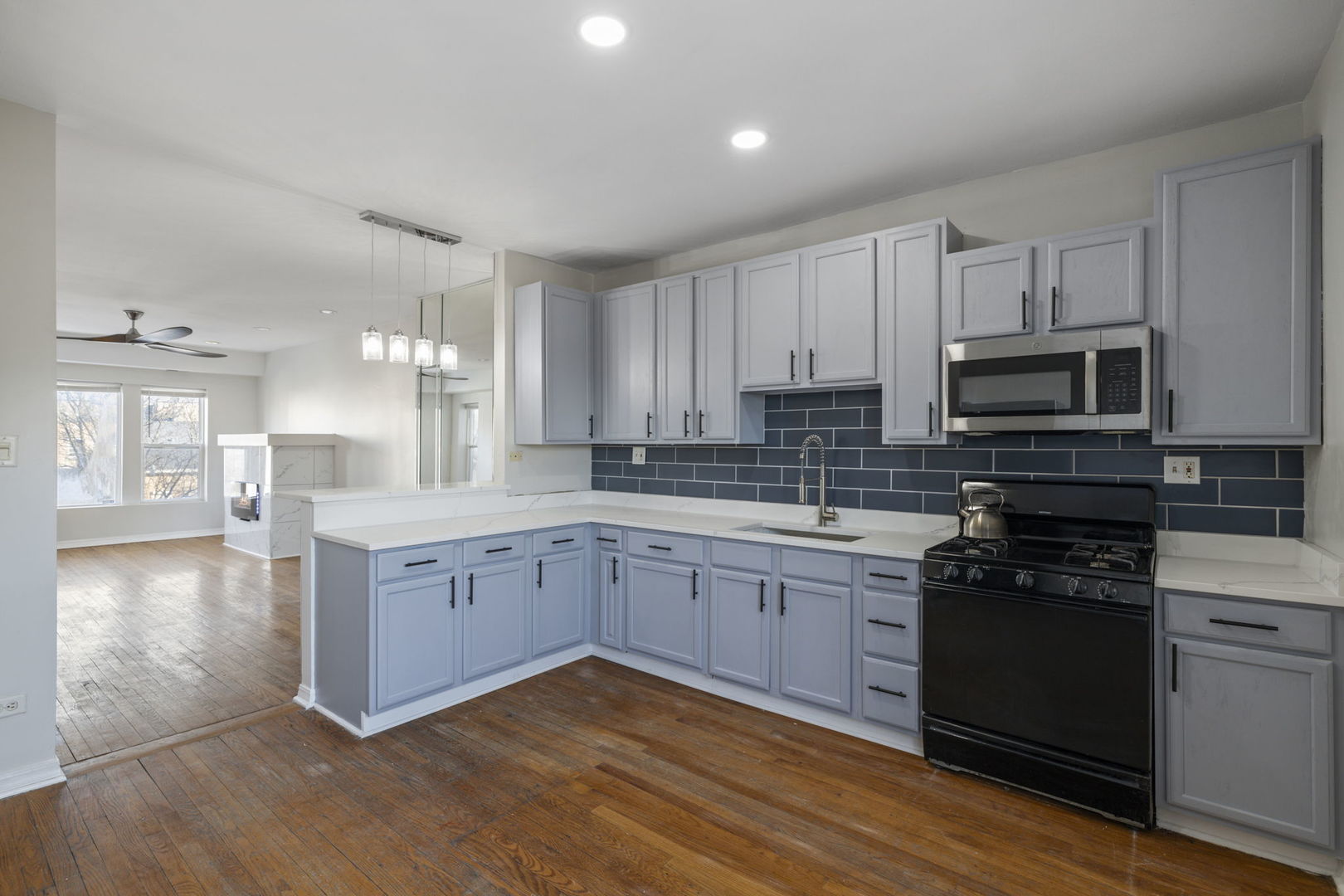 6850 S Dante Avenue #2N, Chicago, IL 60637