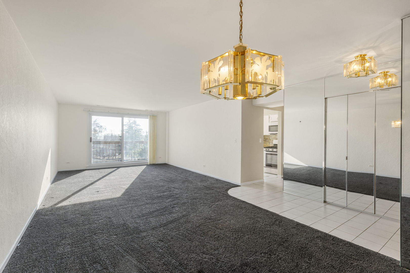 400 E Dundee Road #403C, Buffalo Grove, IL 60089