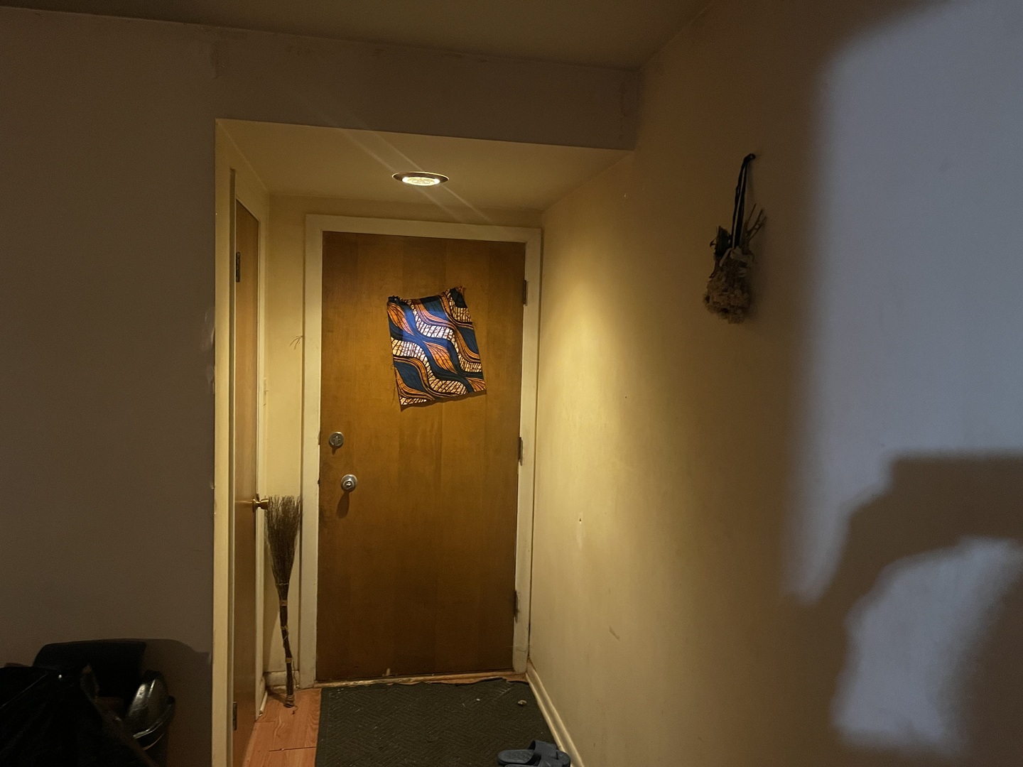 705 W Fitzhenry Court, Glenwood, IL 60425