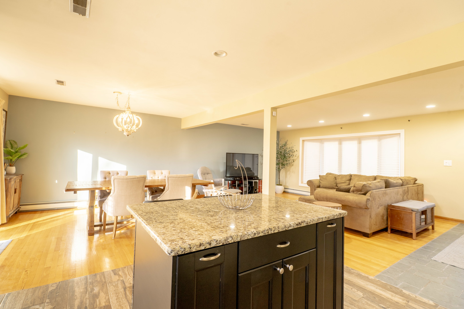 1436 Greenview Court, Schaumburg, IL 60193