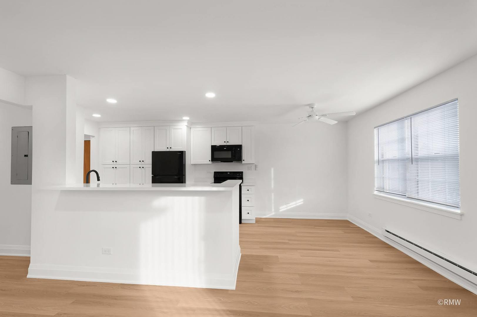 224 S Rush Street #3A, Itasca, IL 60143