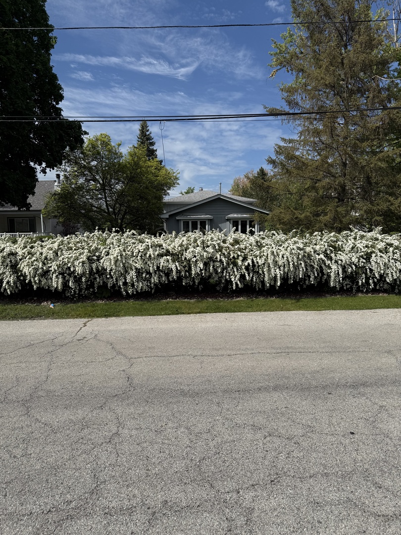 3068 Hickory Road, Homewood, IL 60430