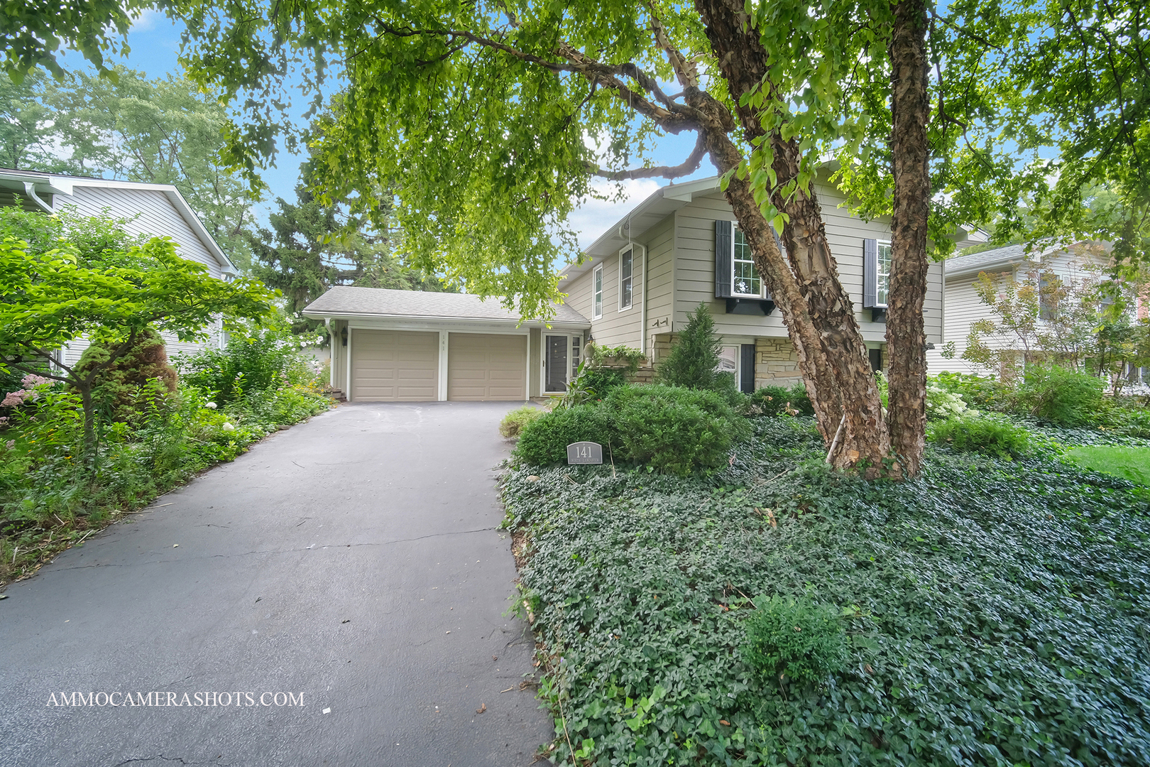 141 N Lancaster Drive, Bolingbrook, IL 60440