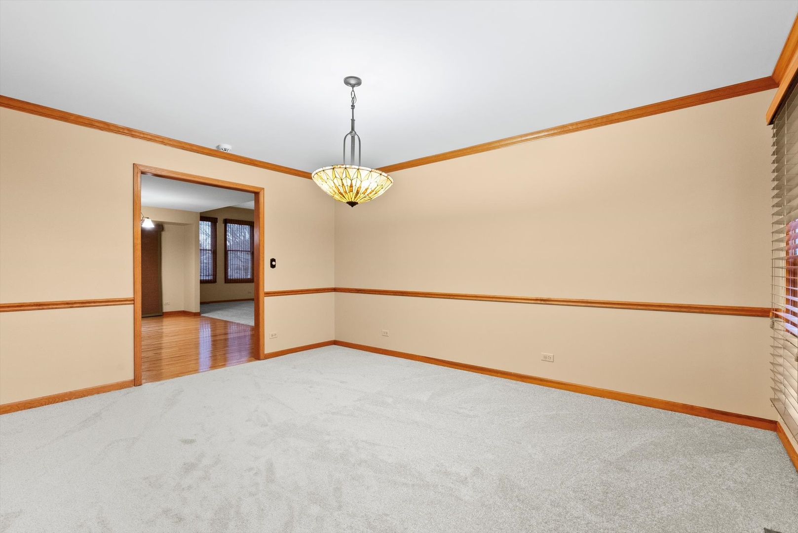 1107 Conan Doyle Road, Naperville, IL 60564