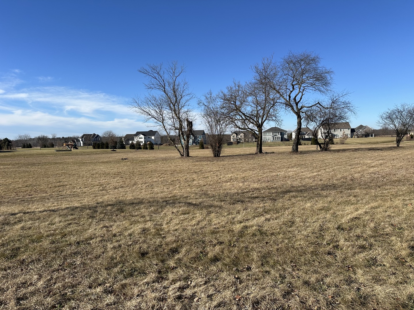 24659 N Blue Aster Lane, Lake Barrington, IL 60010