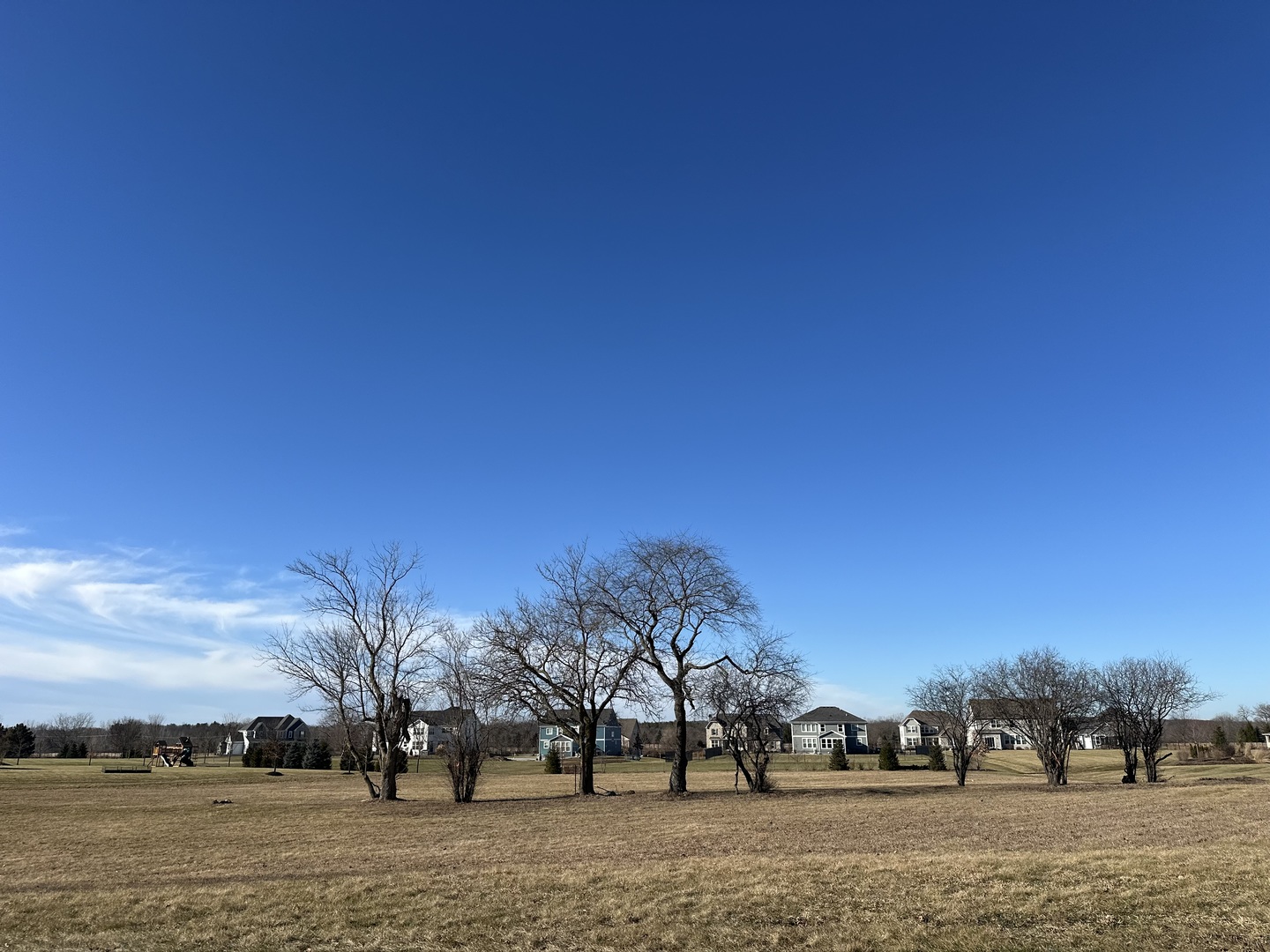 24659 N Blue Aster Lane, Lake Barrington, IL 60010