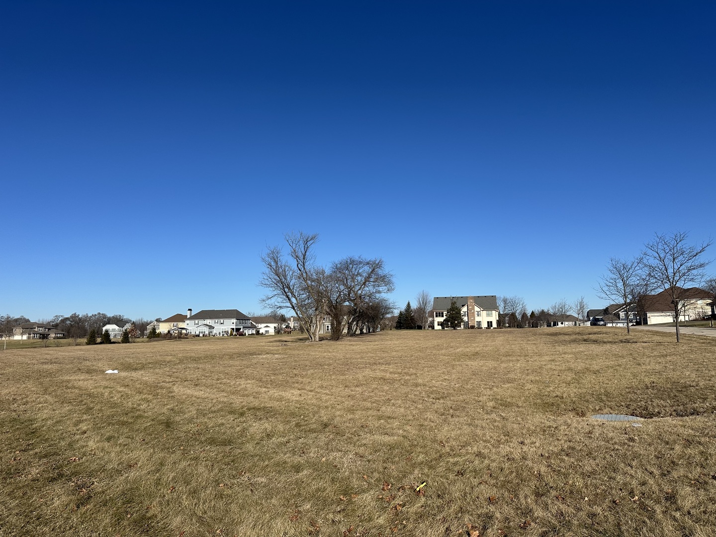 24659 N Blue Aster Lane, Lake Barrington, IL 60010