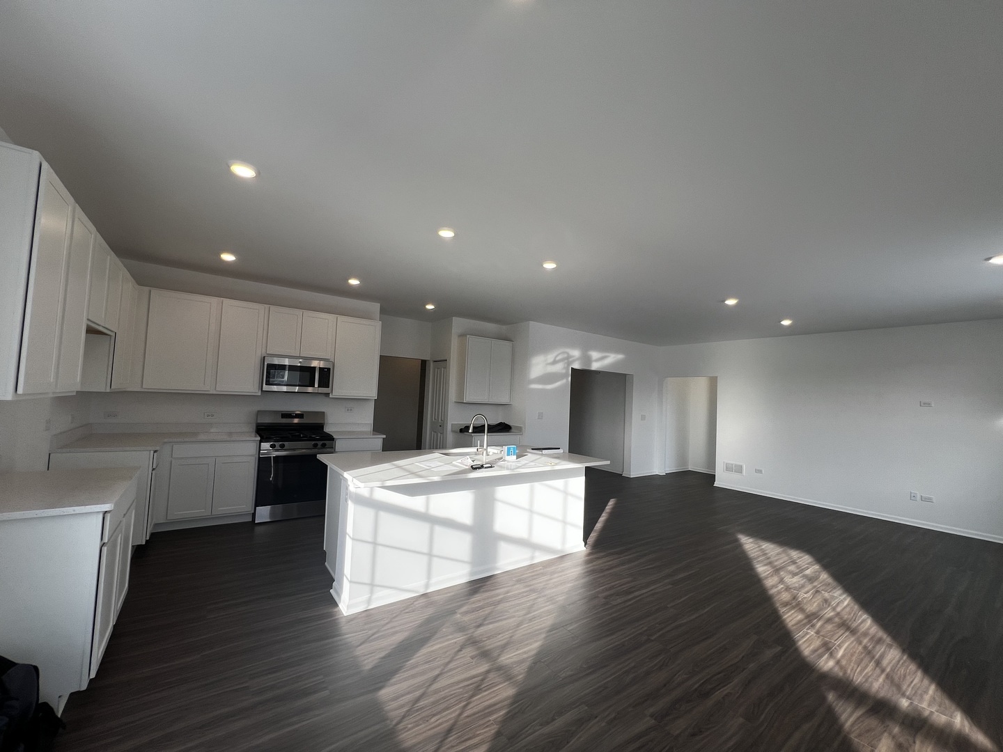 14913 S Dyer Lane, Plainfield, IL 60544