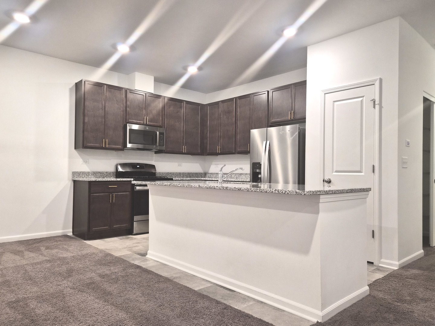 4391 Chelsea Manor Circle #4391, Aurora, IL 60504