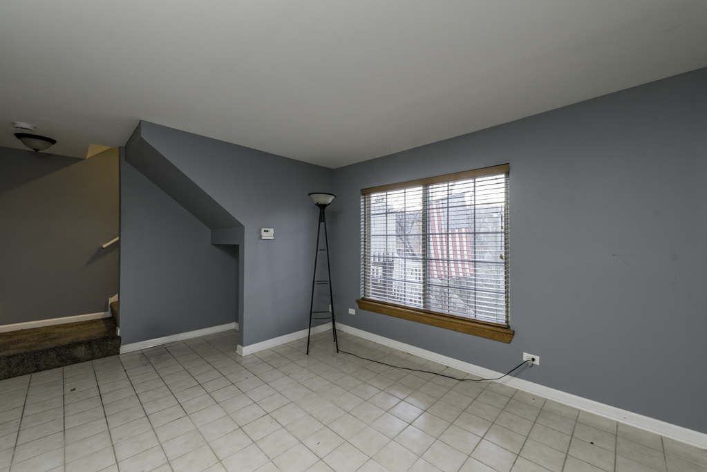 341 W Treehouse Lane #11-4, Round Lake, IL 60073