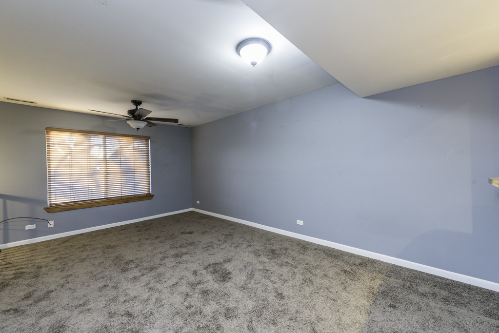 341 W Treehouse Lane #11-4, Round Lake, IL 60073