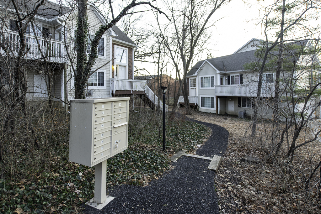 341 W Treehouse Lane #11-4, Round Lake, IL 60073