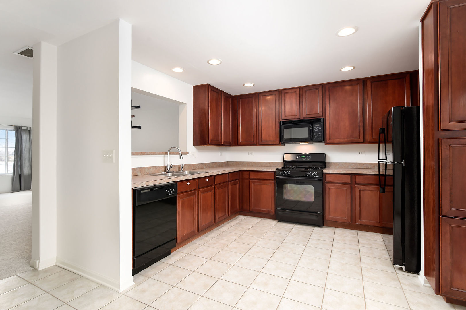 3388 Sanctuary Drive, Elgin, IL 60124