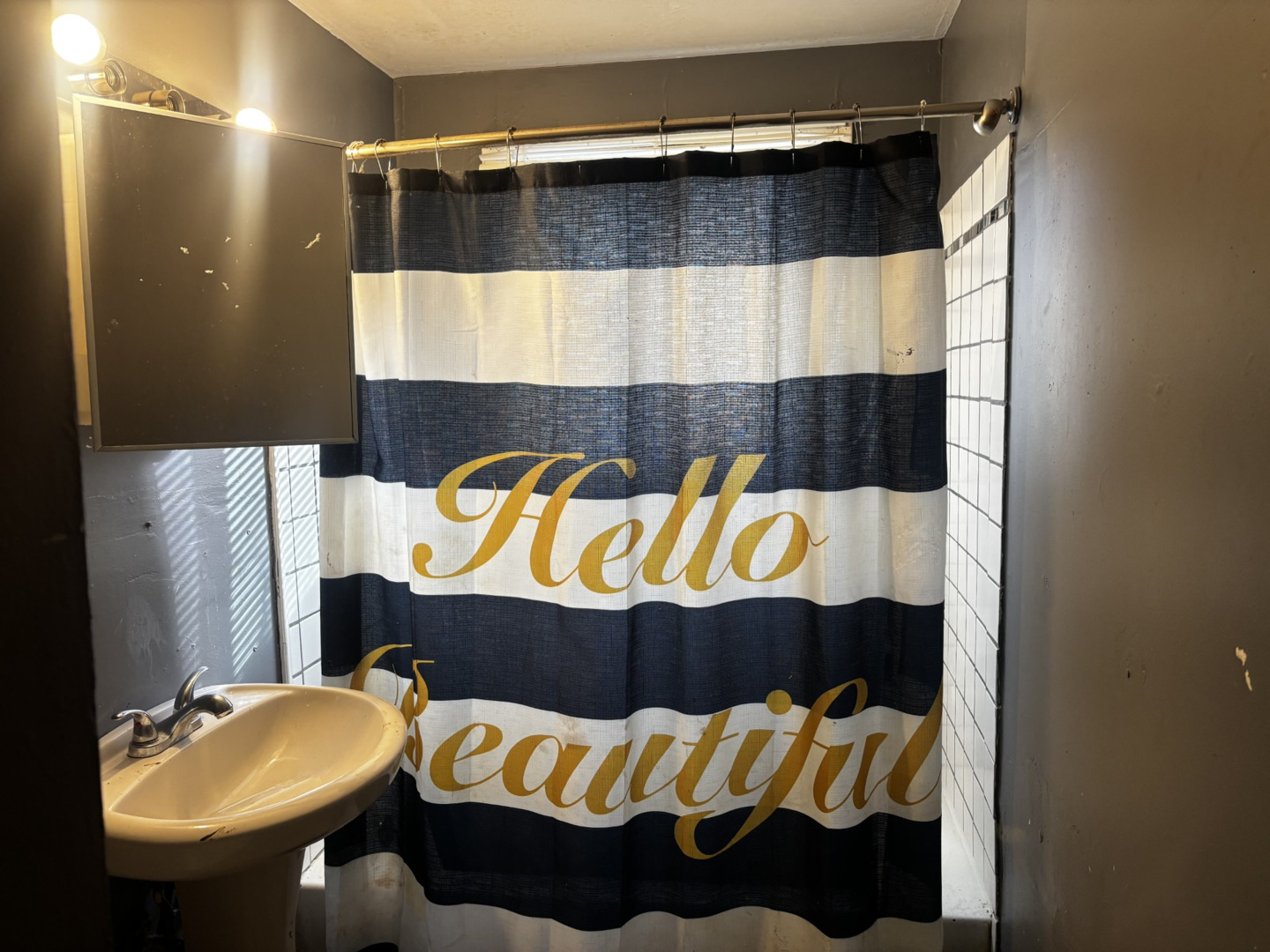 1020 Park Avenue, Ford Heights, IL 60411