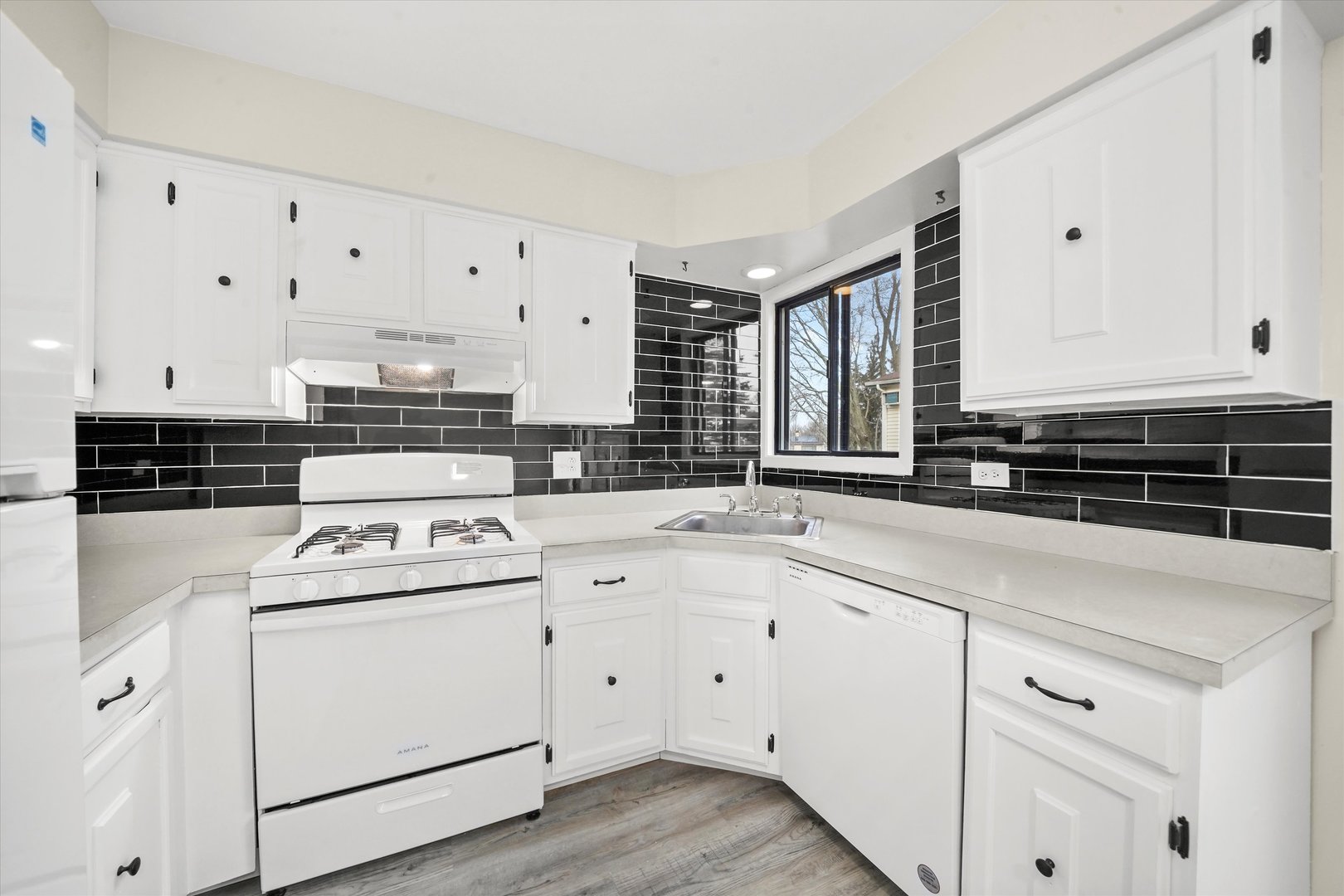 2710 Northcreek Drive #1804, Woodridge, IL 60517