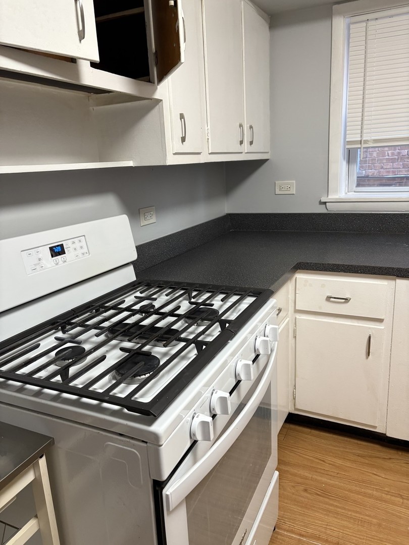 16 W Terrace Street #1S, Villa Park, IL 60181