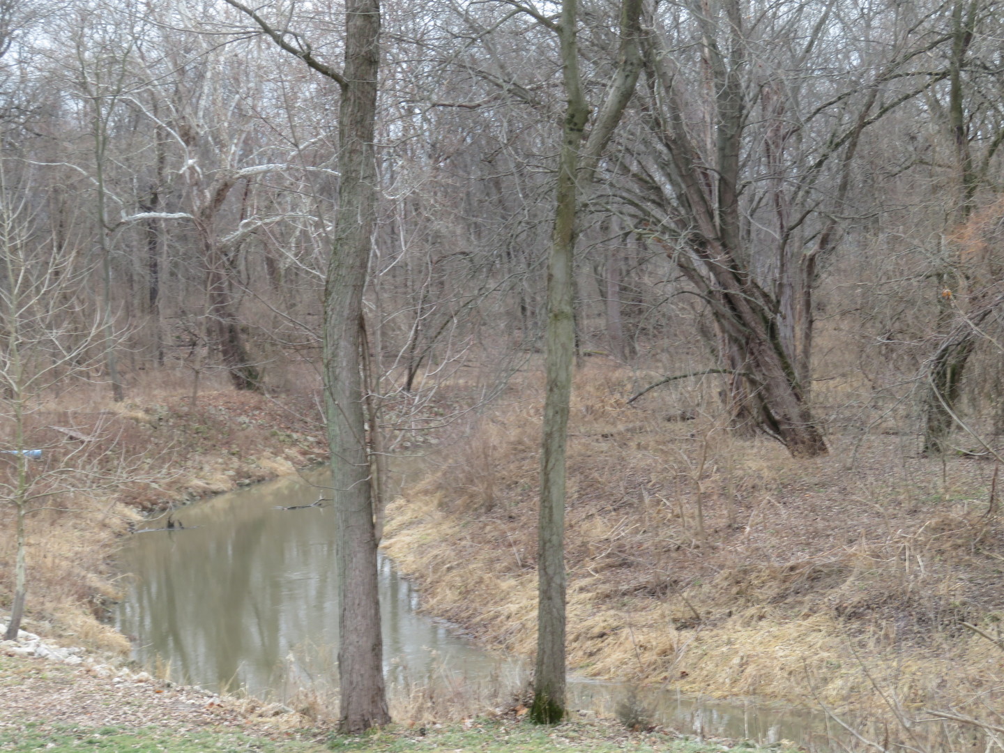 1277 Fremont Avenue, Morris, IL 60450