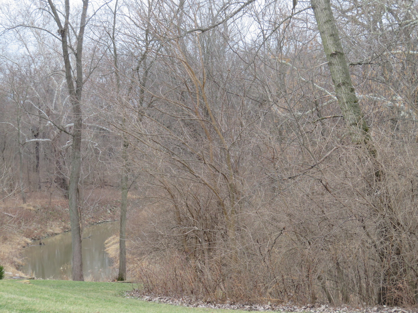 1277 Fremont Avenue, Morris, IL 60450