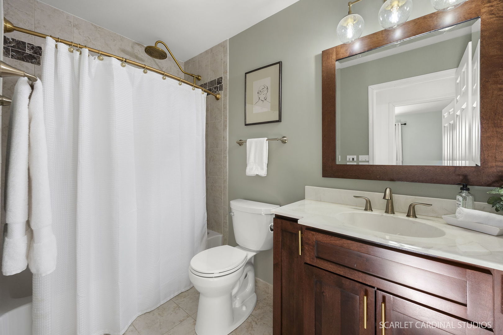 1217 River Oak Drive, Naperville, IL 60565