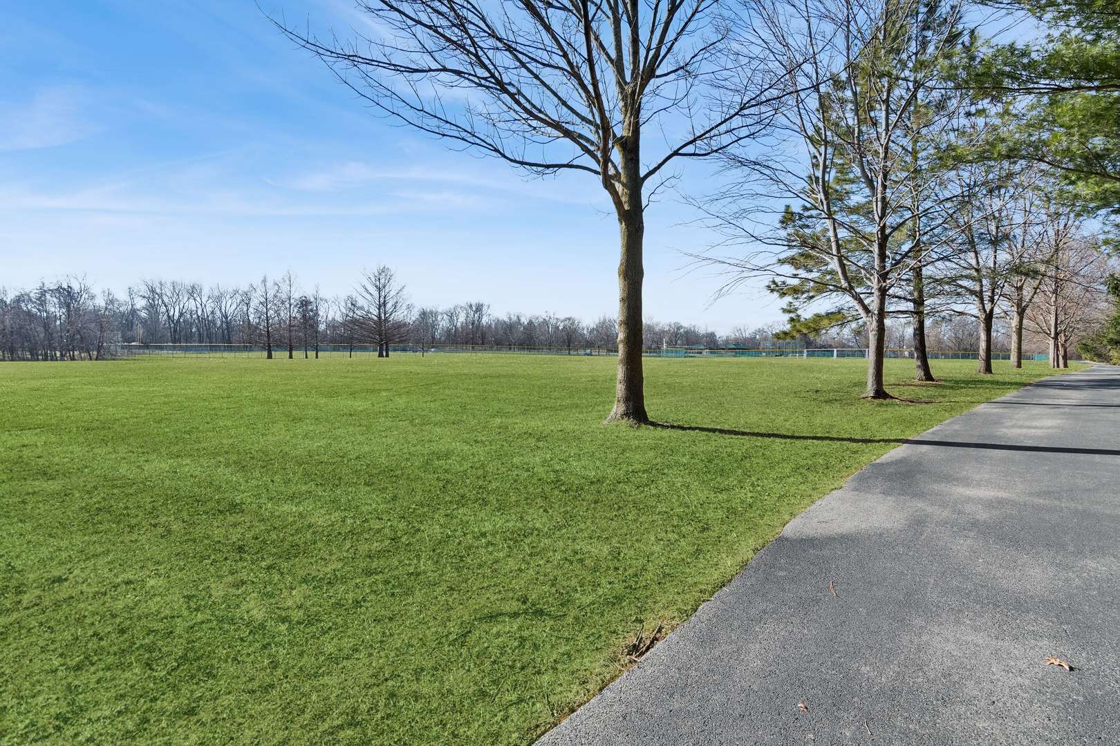 209 Herbert Street, Downers Grove, IL 60515