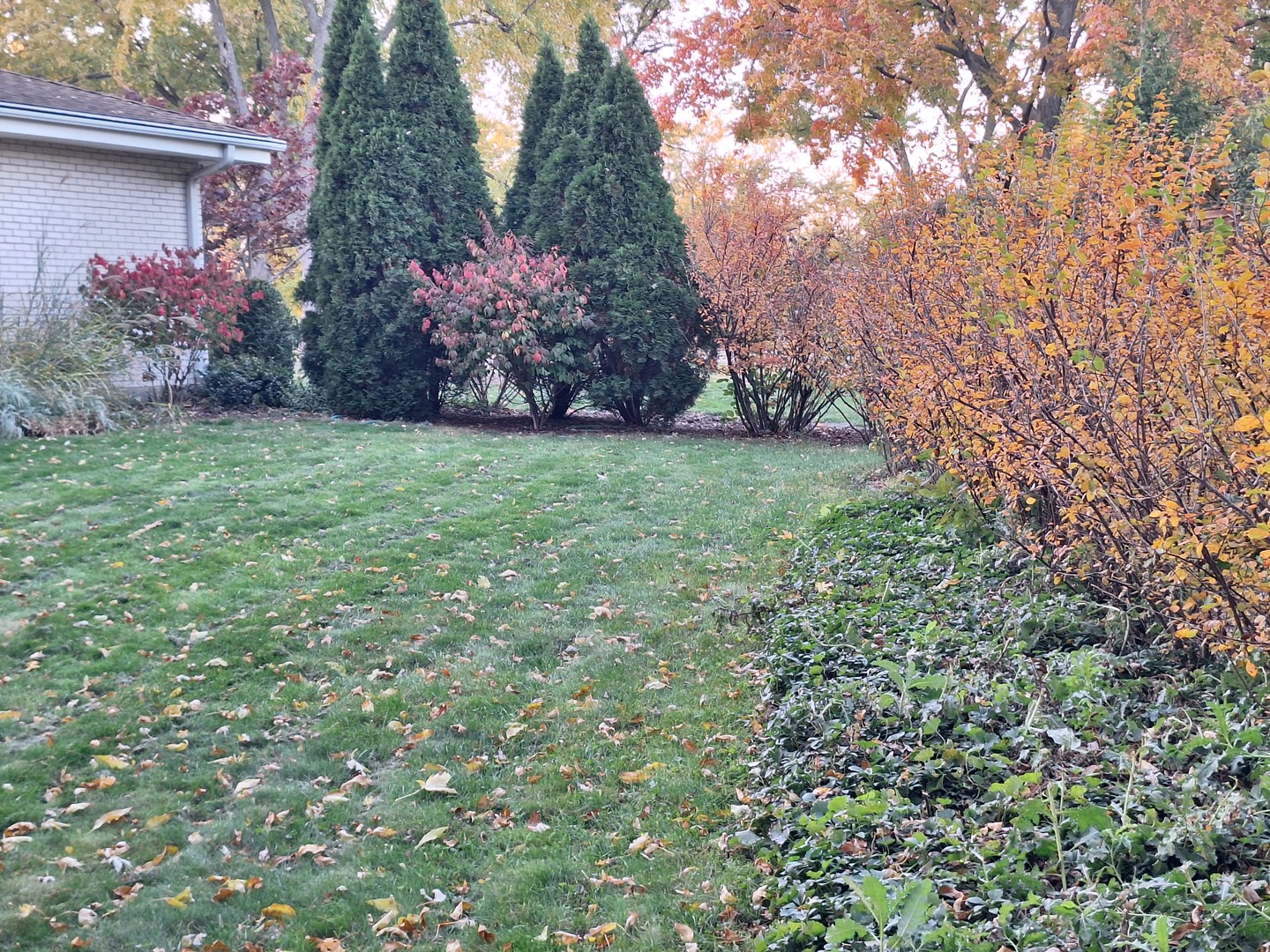 209 Herbert Street, Downers Grove, IL 60515