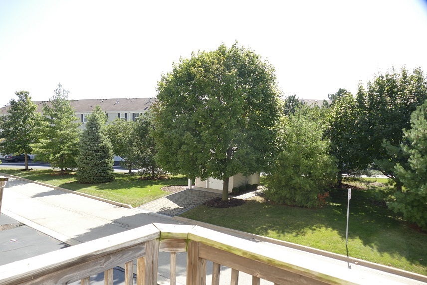 237 S Oak Creek Lane #237, Romeoville, IL 60446
