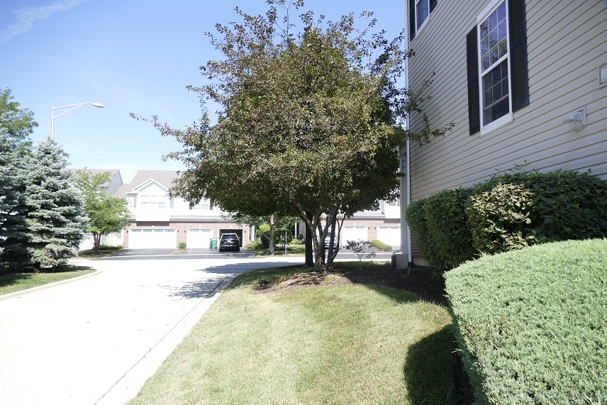 237 S Oak Creek Lane #237, Romeoville, IL 60446