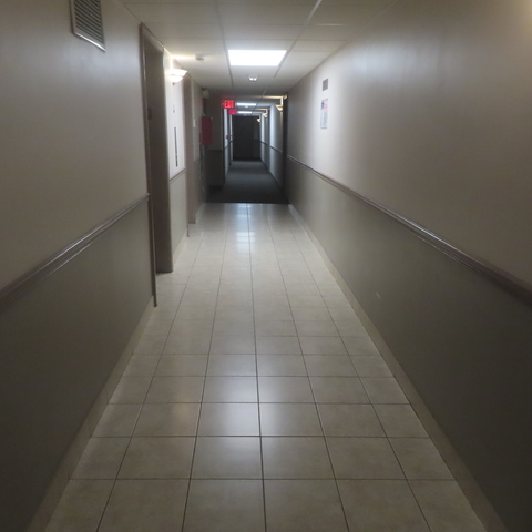 7234 W North Avenue #907, Elmwood Park, IL 60707