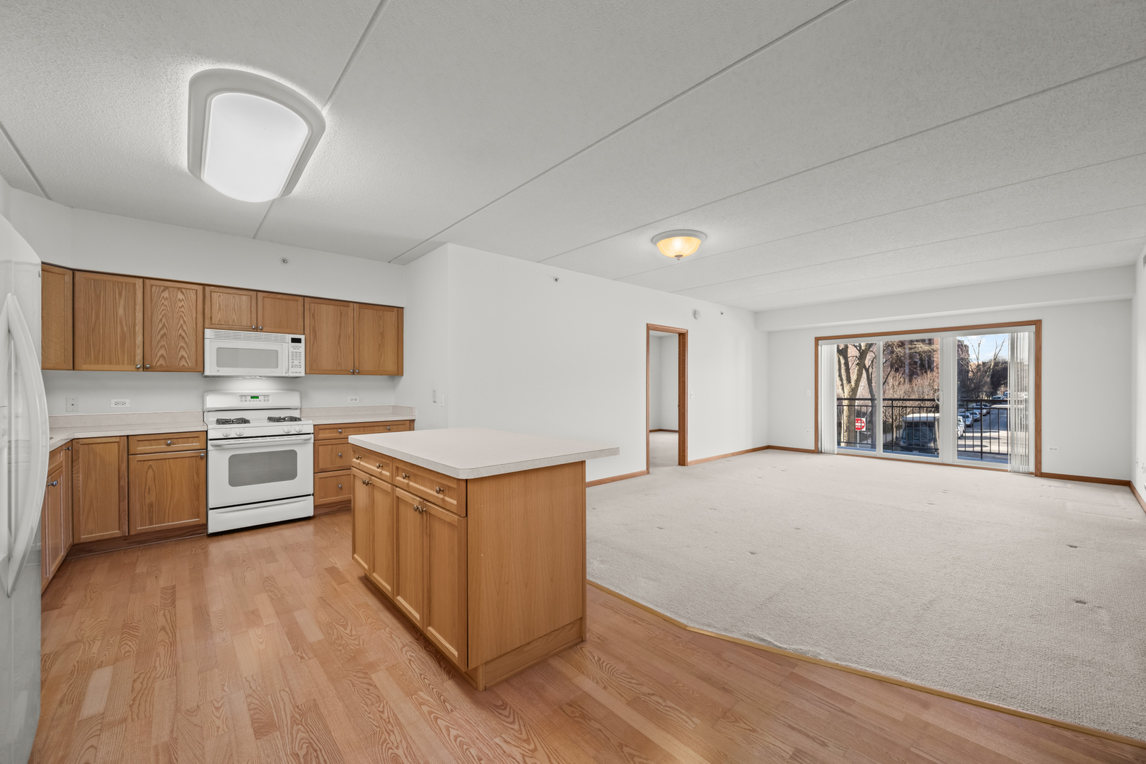 395 Graceland Avenue #208, Des Plaines, IL 60016