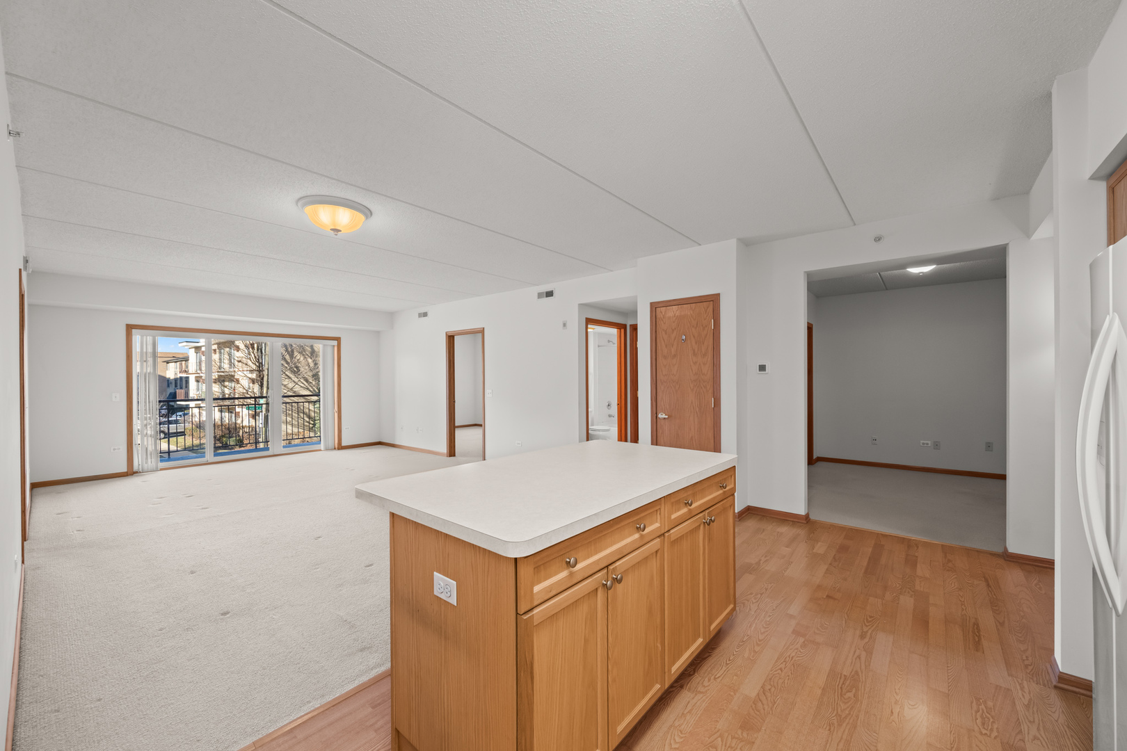 395 Graceland Avenue #208, Des Plaines, IL 60016