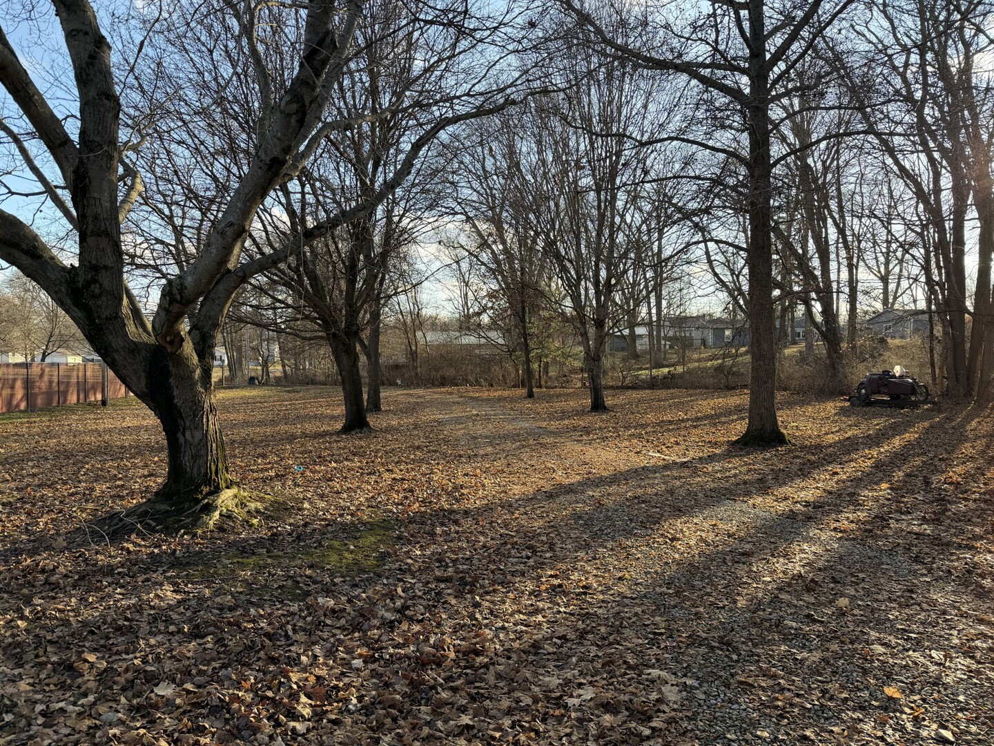 301 W Oak Street, Saybrook, IL 61770