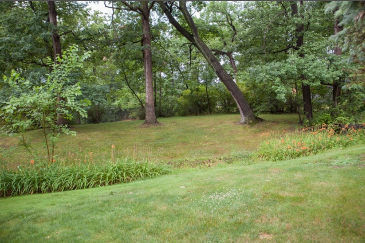 23000 Sherman Road, Steger, IL 60475