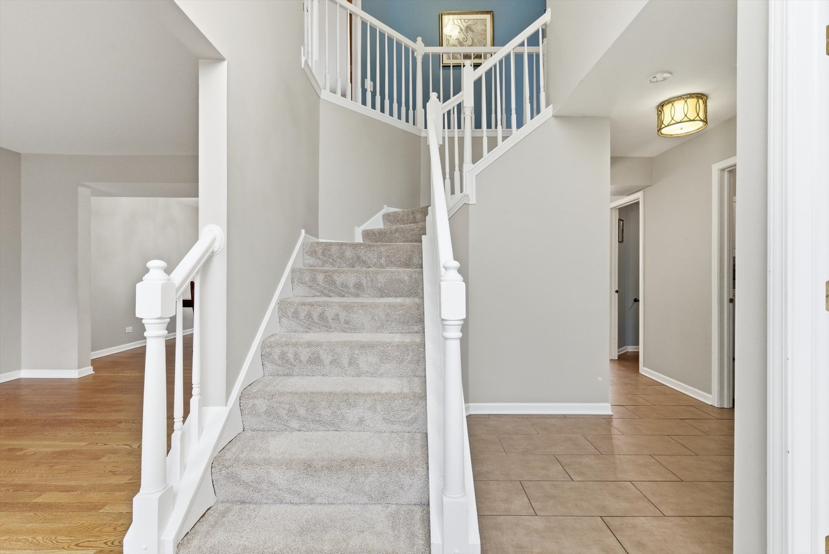 1604 Tara Belle Parkway, Naperville, IL 60564