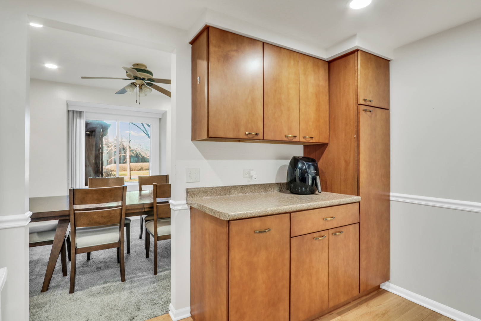 1566 Anderson Lane, Buffalo Grove, IL 60089