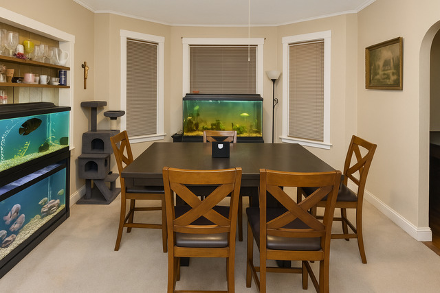 5322 W 23rd Street, Cicero, IL 60804