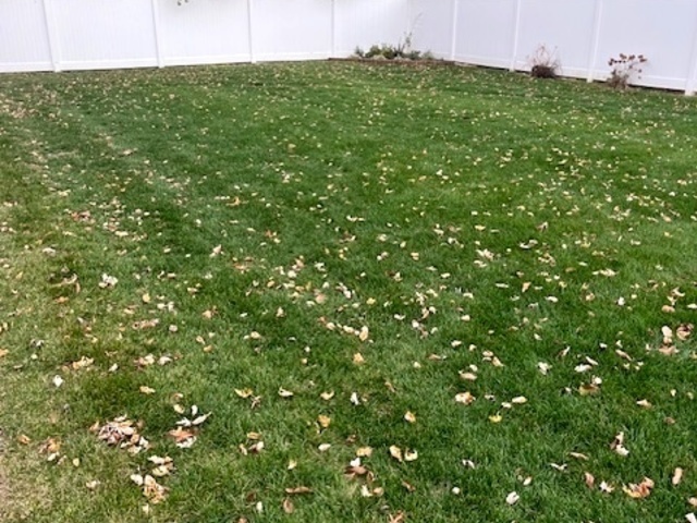 6101 W 127th Street, Palos Heights, IL 60463