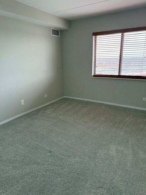 6340 Americana Drive #1102, Willowbrook, IL 60527