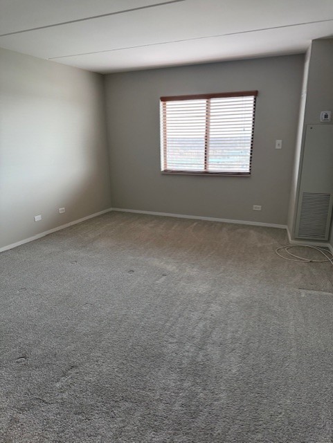 6340 Americana Drive #1102, Willowbrook, IL 60527