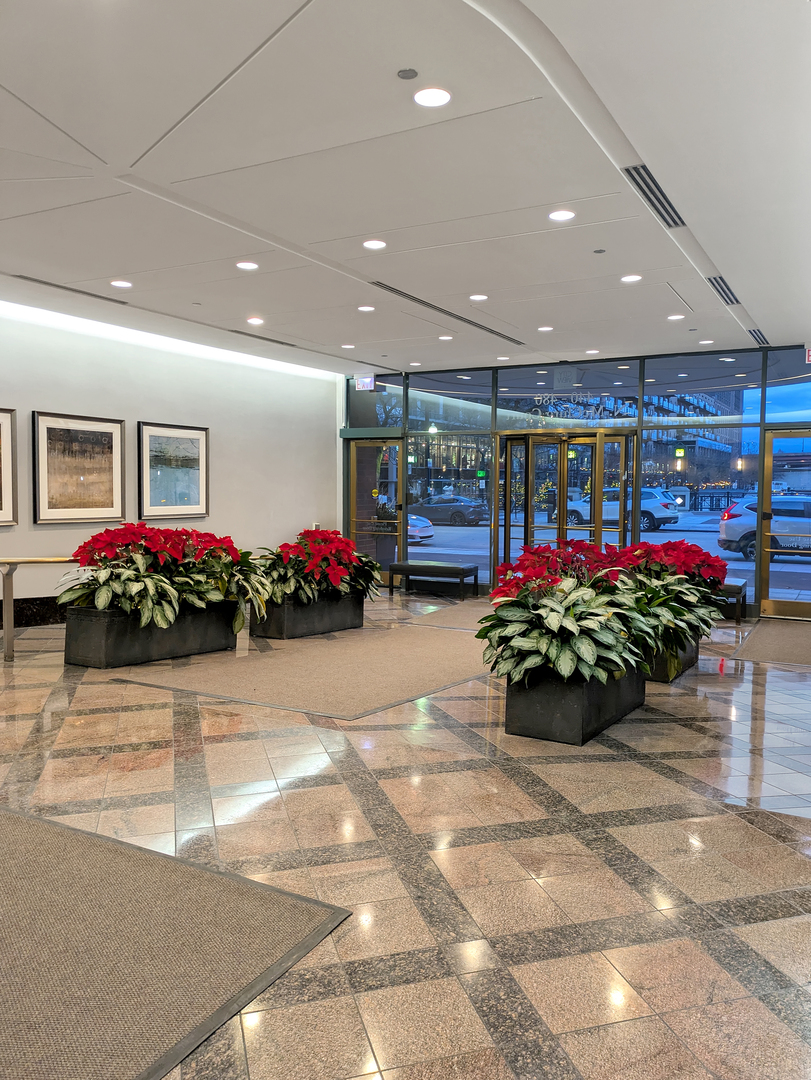 480 N Mcclurg Court #404N, Chicago, IL 60611