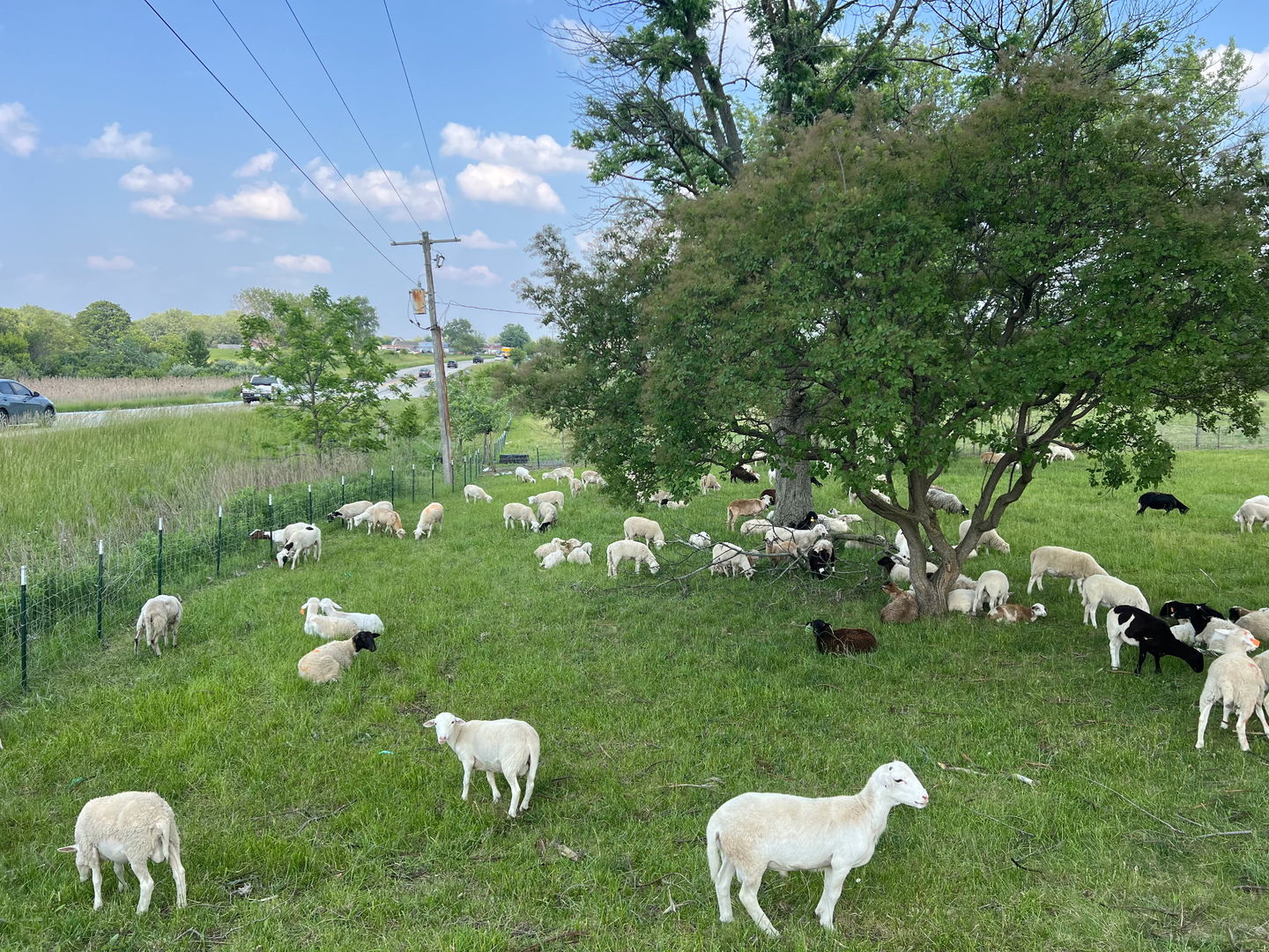 3303 E Exchange Street, Crete, IL 60417