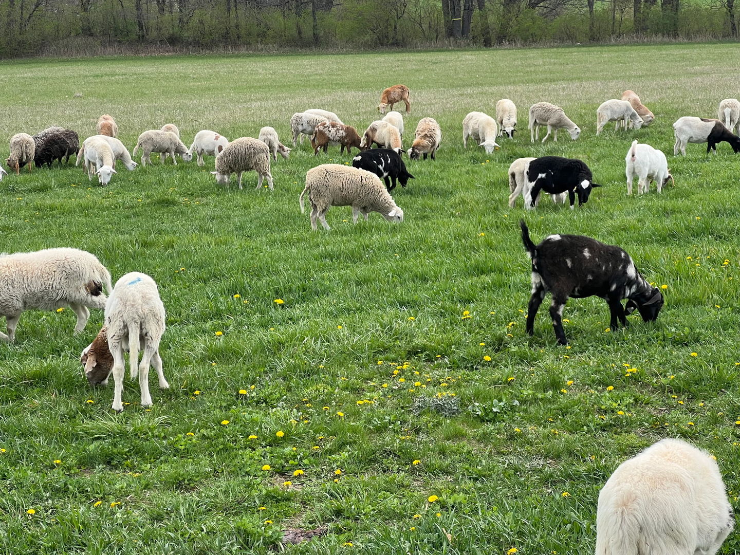 3303 E Exchange Street, Crete, IL 60417