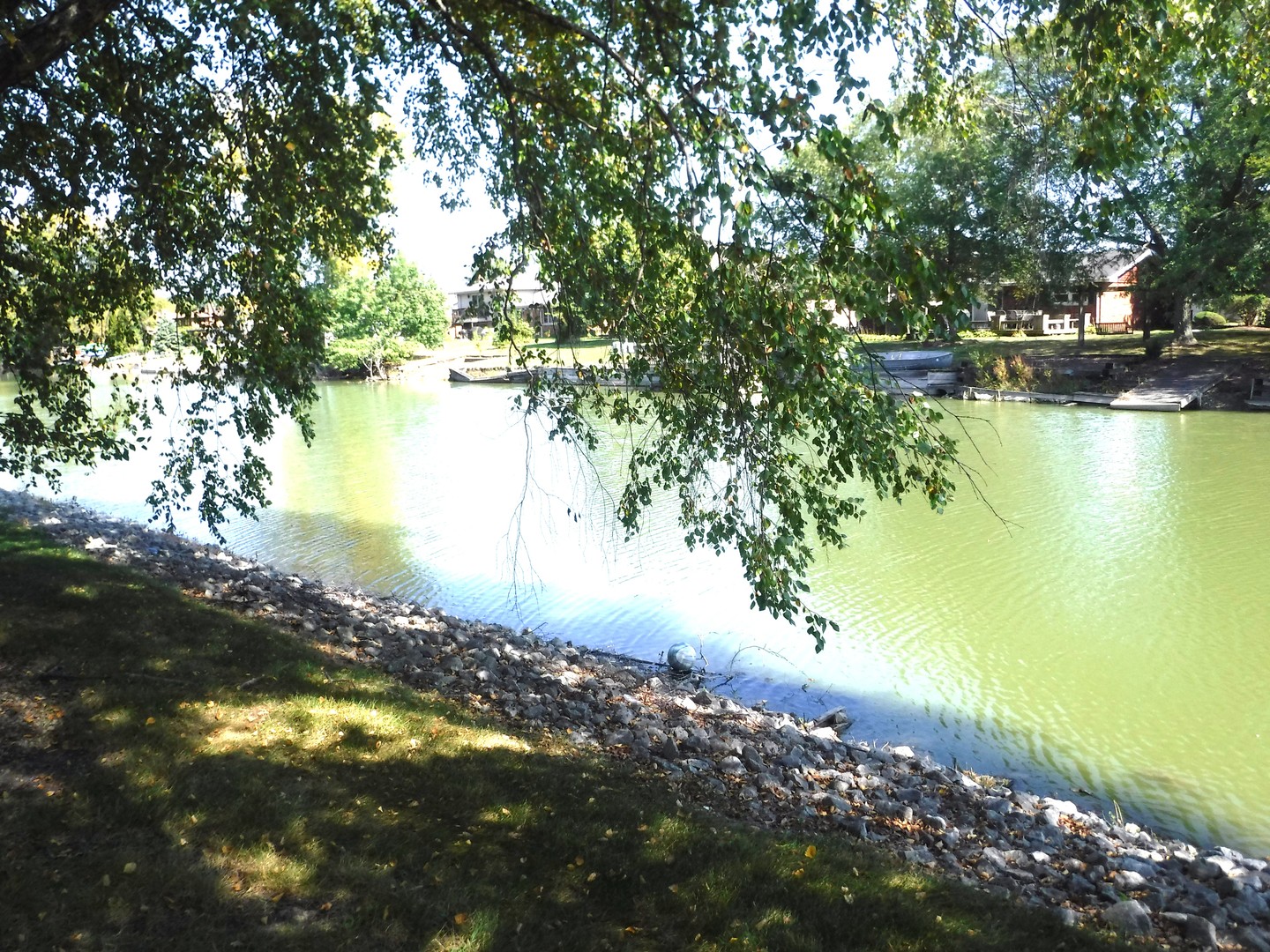 19561 Lake Shore Drive #1-S, Lynwood, IL 60411