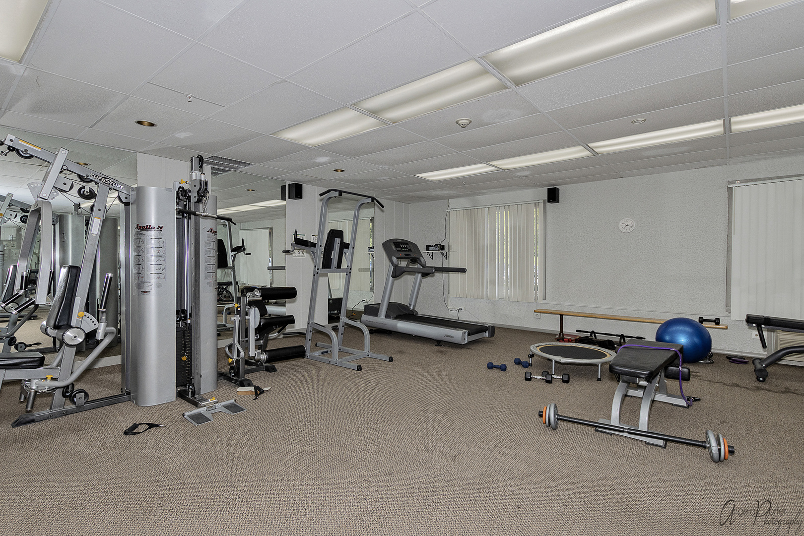 1 Renaissance Place #1100, Palatine, IL 60067