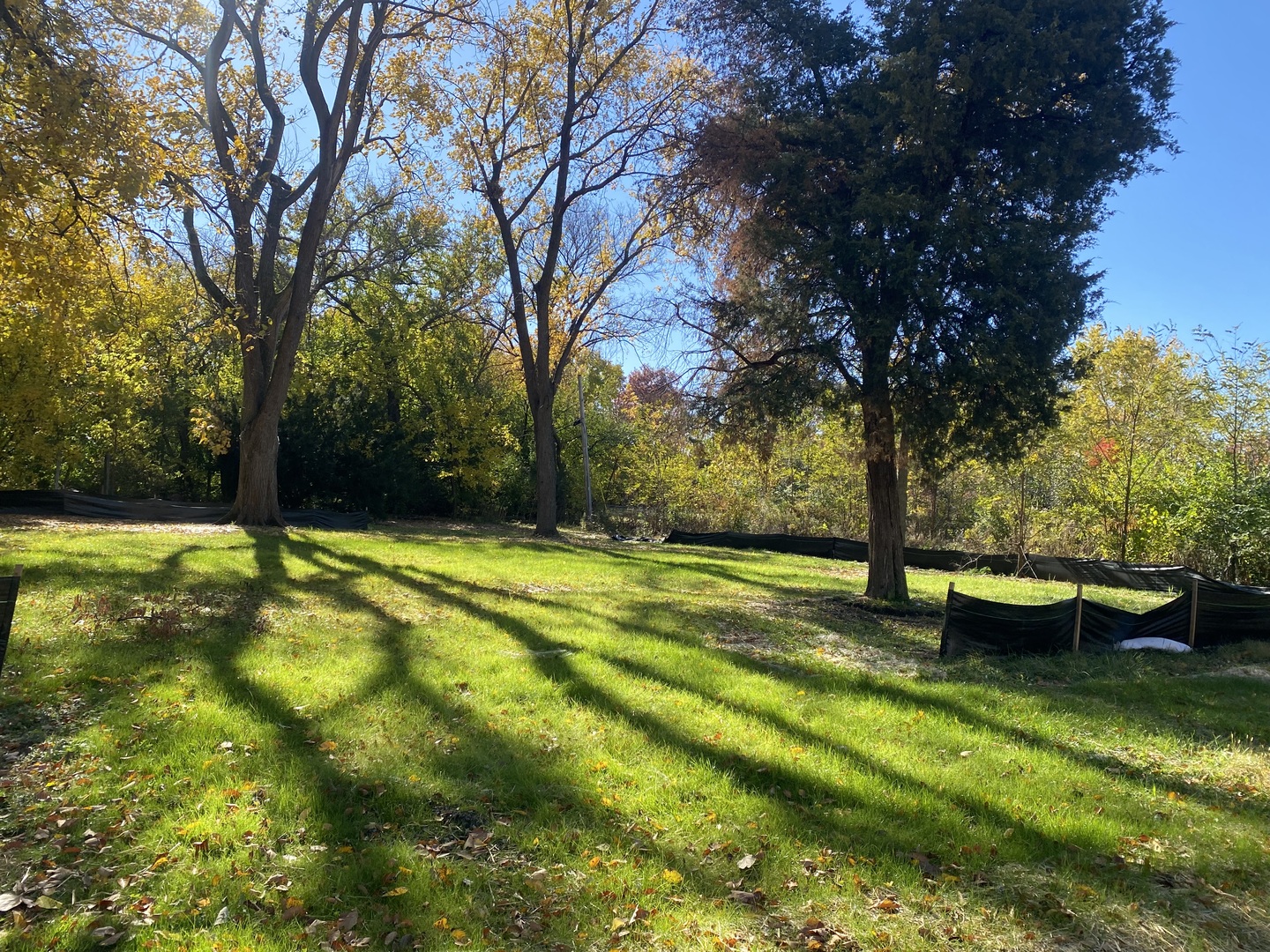 425 40th Street, Downers Grove, IL 60515