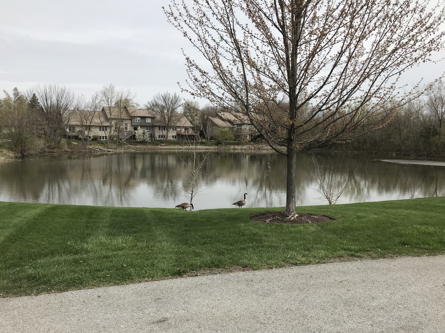 15817 S Orlan Brook Drive #32, Orland Park, IL 60462