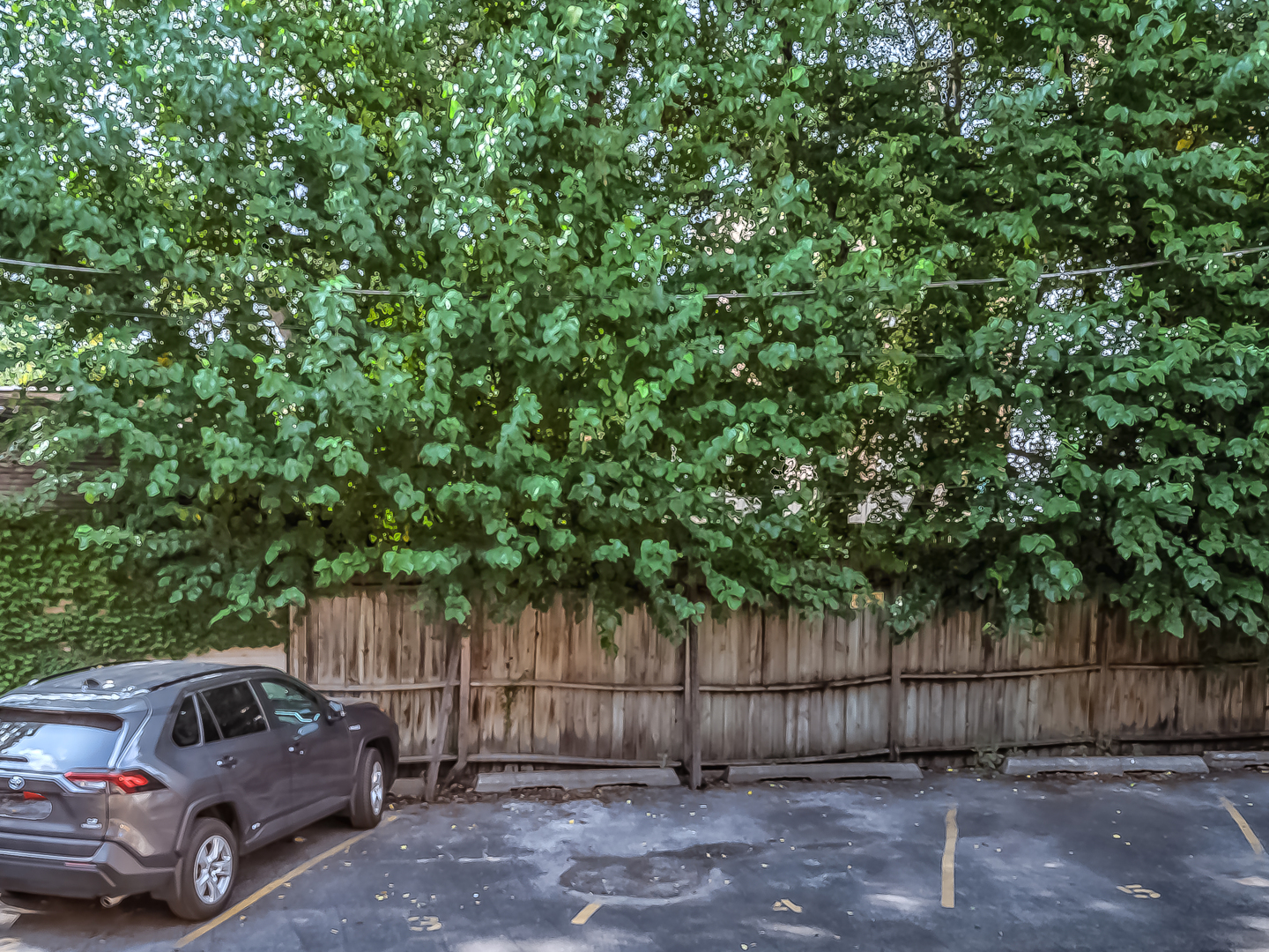 7020 N Paulina Street #1, Chicago, IL 60626