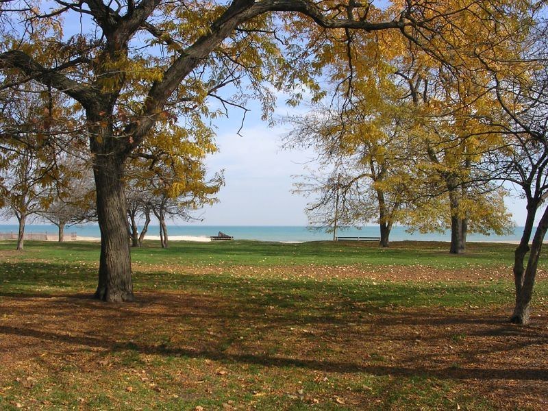 7020 N Paulina Street #1, Chicago, IL 60626